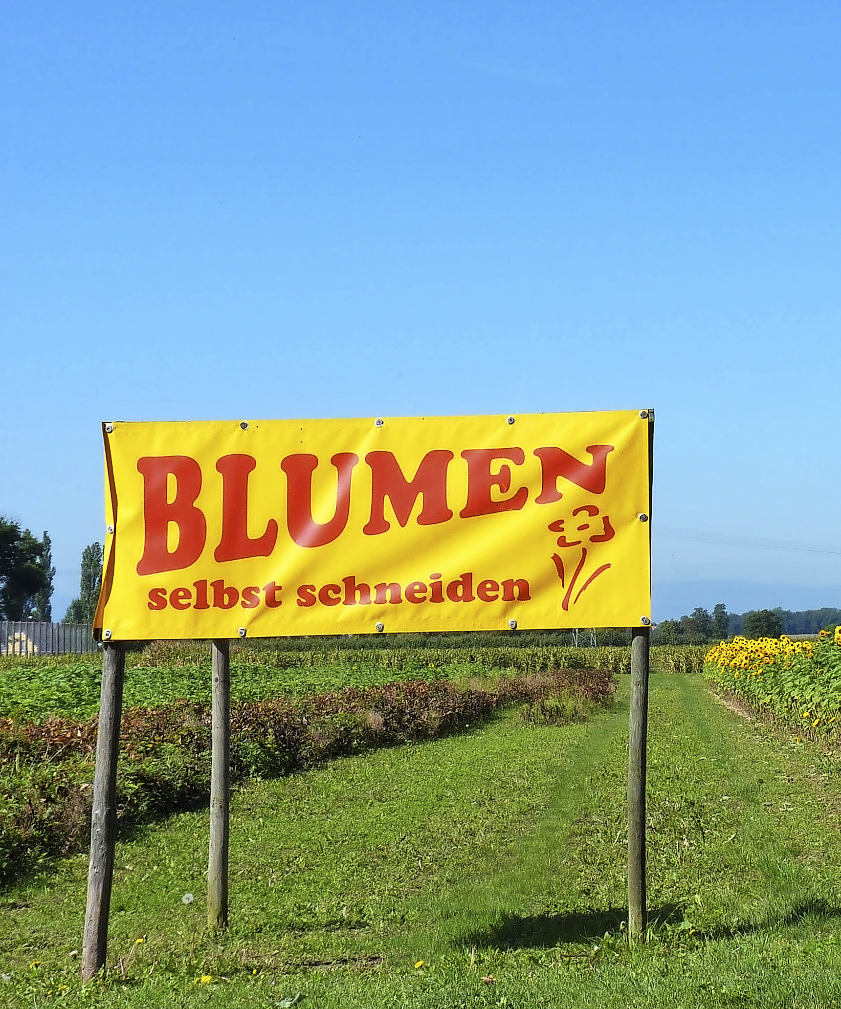 Wis7 19 Unternehmen Baer Schild