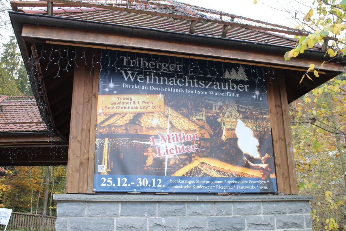 Weisser6 Verkleinert