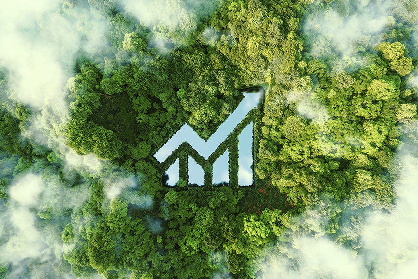 AdobeStock 461064650