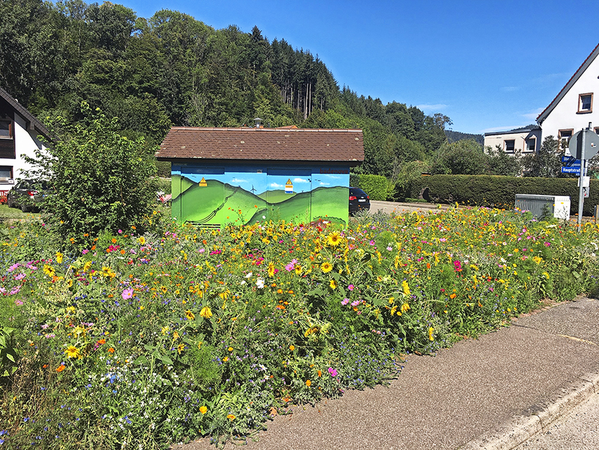 Bienenwiese 4