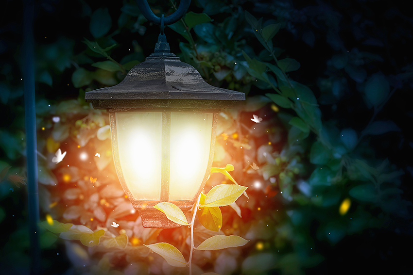AdobeStock 279346275