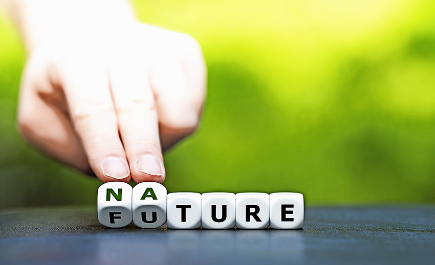 AdobeStock 388033226