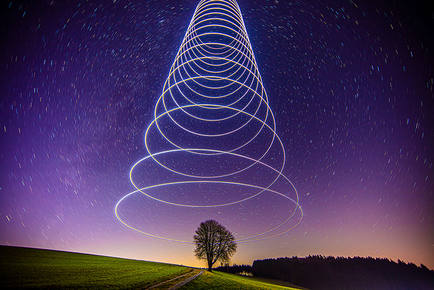 Holy Tree Mende 01