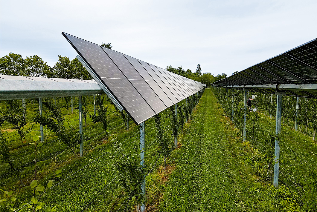 FraunhoferISE Agri PV Anlage Oberkirch Hsw 1060x710px
