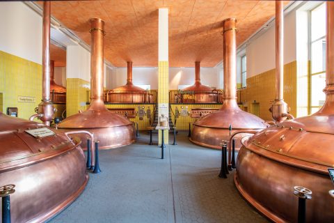 Ganter_Sudhaus