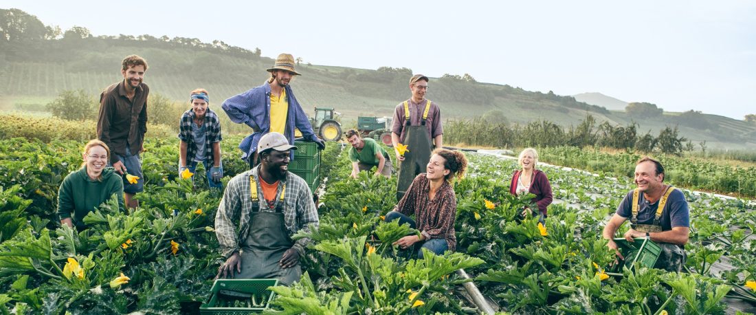 Piluweri_Genossenschaft (57)interpl_hsw_2400x1000px